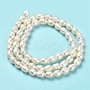 Natural Cultured Freshwater Pearl Beads Strands PEAR-E016-170-3