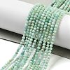 Natural Amazonite Beads Strands G-G161-A02-01-2