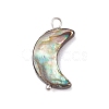 Natural Abalone Shell/Paua Shell Pendants PALLOY-JF02701-02-1