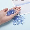 6/0 Glass Seed Beads SEED-YW0001-25G-7