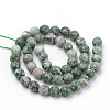 Natural Qinghai Jade Beads Strands G-Q462-97-6mm-2