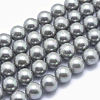 Shell Pearl Beads Strands X-BSHE-L026-05-8mm-2