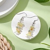 Natural Mixed Stone Dangle Earrings EJEW-JE06154-01-2