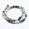 Natural White African Opal Beads Strands G-E472-02-8mm-2