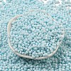 Macaron Color Opaque Frosted Glass Seed Beads SEED-K009-12B-11-2