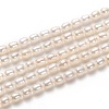 Natural Cultured Freshwater Pearl Beads Strands PEAR-J005-59-1