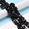 Natural Shungite Stone Beads Strands G-G925-04A-2