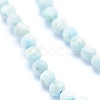 Natural Larimar Beads Strands G-I279-E03-3