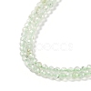 Natural Prehnite Beads Strands G-G139-A05-02-4