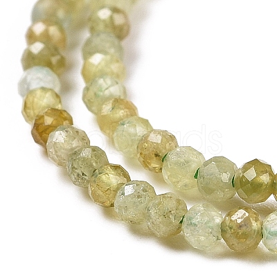 Natural Green Garnet Beads Strands G-C009-A23-1