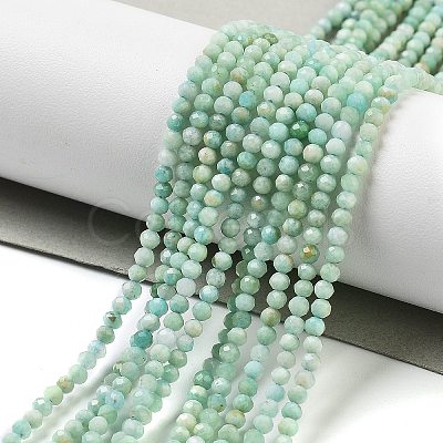 Natural Amazonite Beads Strands G-G161-A02-01-1