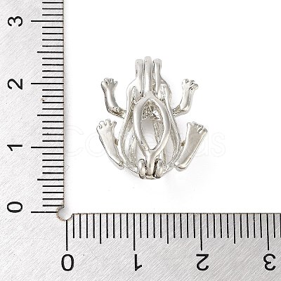 Alloy Bead Cage Pendants FIND-M012-01P-P-1