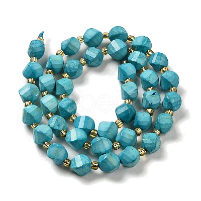 Dyed Natural Howlite Beads Strands G-G023-B01-02C-1