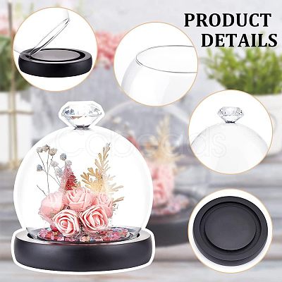 Glass Dome Cover ODIS-WH0002-26B-1