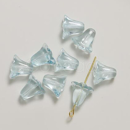 Transparent Glass Beads GLAA-TAC0020-02H-1