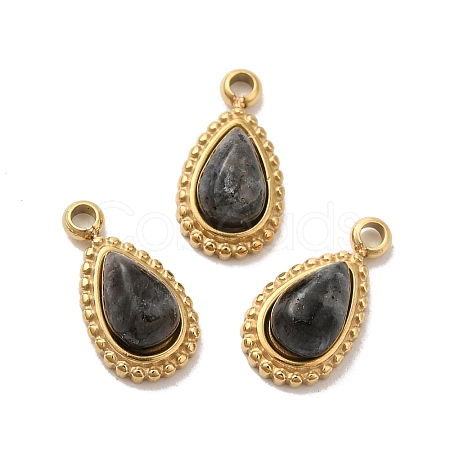 304 Stainless Steel Pave Natural Labradorite Teardrop Charms STAS-B074-04G-03-1