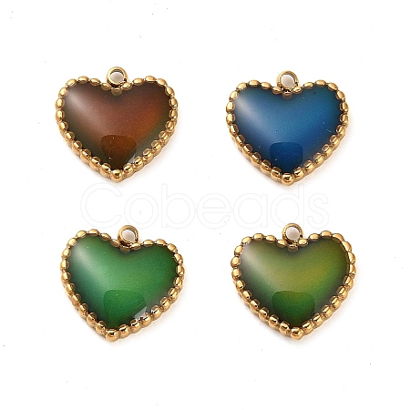 304 Stainless Steel Enamel  Charms STAS-L022-094G-1