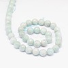 Faceted Round Natural Peru Amazonite Bead Strands G-L448-01-8mm-2