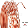 BENECREAT 4 Roll Copper Spring Wire CWIR-BC0001-33-3