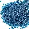 TOHO Round Seed Beads SEED-TR11-0023C-1