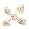 Natural Spiral Shell Beads BSHE-H015-05-1