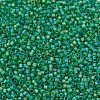 MIYUKI Delica Beads Small SEED-X0054-DBS0858-3
