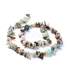 Natural Blue Opal Beads Strands G-L505-27-3