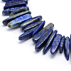 Natural Lapis Lazuli Beads Strands X-G-K220-15-3