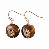 Natural Mixed Stone Dangle Earrings EJEW-JE02997-M-2