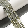 Natural Labradorite Beads Strands G-B091-A09-01-2