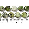 Natural Australia Jade/Chrysoprase Beads Strands G-NH0004-038-5