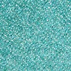 11/0 Grade A Transparent Glass Seed Beads X-SEED-N001-E-318-2