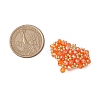 Handmade Glass Seed Beads PALLOY-MZ00341-03-2