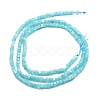 Natural Amazonite Beads Strands G-P457-B01-34-3