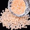 Glass Seed Beads SEED-A011-4mm-147-1