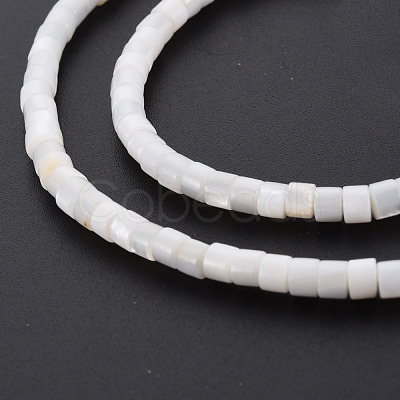 Natural Freshwater Shell Beads Strands SHEL-N027-09-1