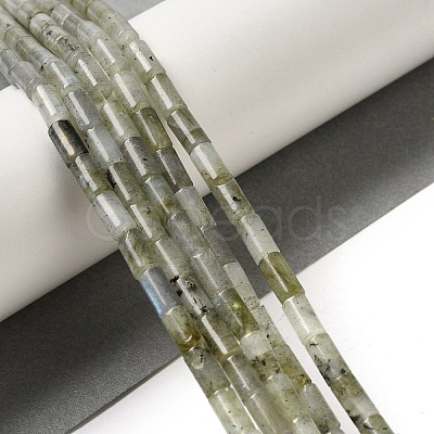 Natural Labradorite Beads Strands G-B091-A09-01-1