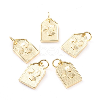 Brass Pendants ZIRC-I043-22G-1