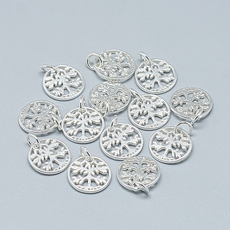 925 Sterling Silver Charms STER-T002-96S-1