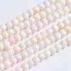 Natural Pink Shell Beads Strands SSHEL-L016-18C-1