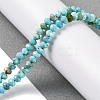 Natural Howlite Beads Strands G-H025-03C-01-2