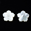 Natural White Shell Mother of Pearl Shell Beads SSHEL-T014-42D-3