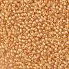 TOHO Round Seed Beads X-SEED-TR11-0984-2