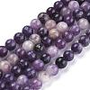 Natural Lepidolite/Purple Mica Stone Beads Strands G-K415-6mm-2