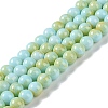 Baking Paint Glass Bead Strands GLAA-H031-01B-08-1