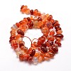 Dyed Natural Carnelian Chip Beads Strands X-G-E271-105-2