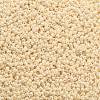 TOHO Round Seed Beads X-SEED-TR11-0123-2