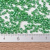 MIYUKI Delica Beads SEED-JP0008-DB1787-4