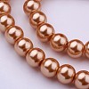 Glass Pearl Beads Strands HY-10D-B36-2