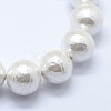 Shell Pearl Beads Strands BSHE-K053-02-12mm-3